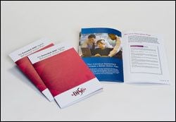 Extended DISC Behavioural Action Plan