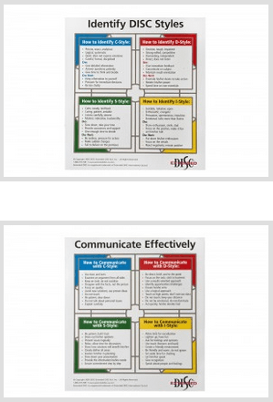 Extended DISC Styles Wall Posters